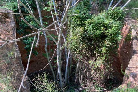 Landejendom i El Perello, Tarragona, El Perello - € 36.000 | Ref: Finca Montanas - foto 35